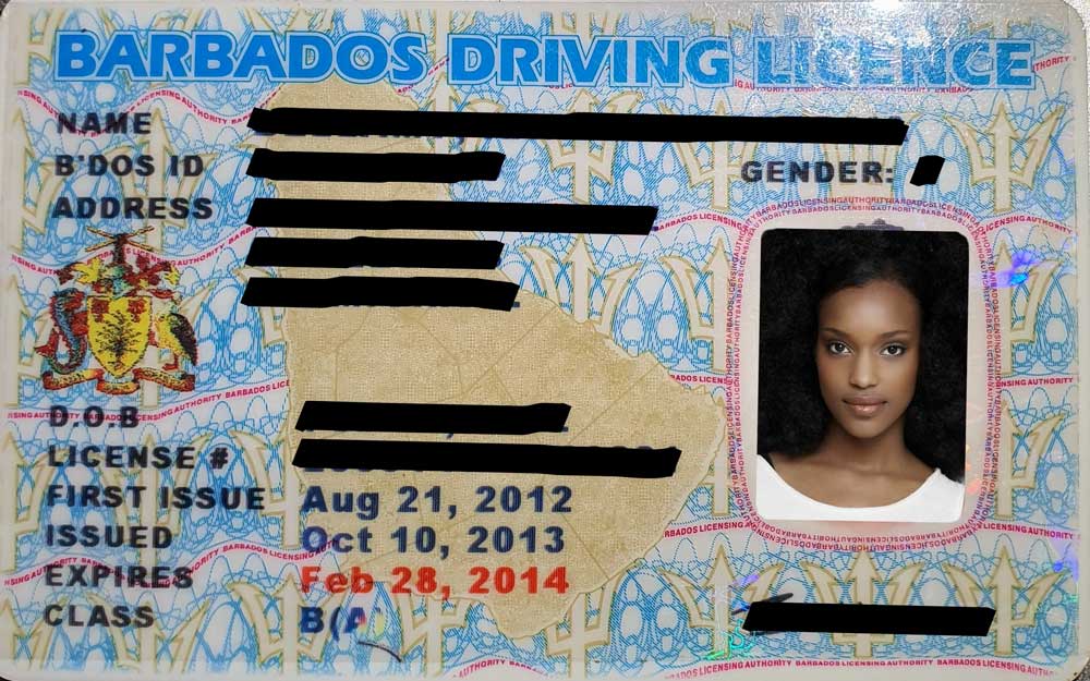 Barbados Driving License with photo 